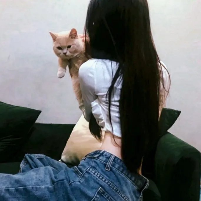 代号美洲豹